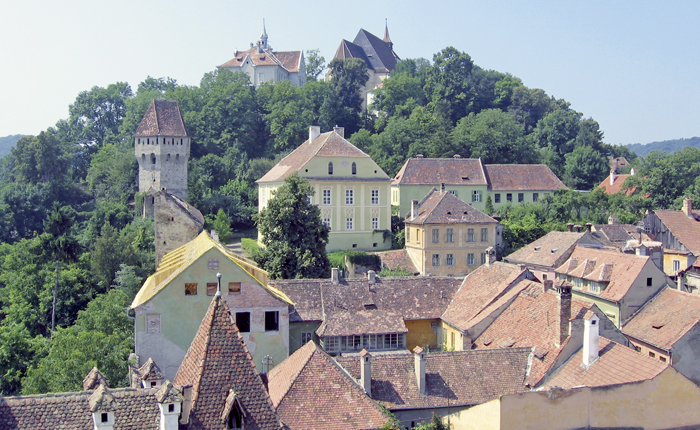 Cursus Roemeens voor Gevorderden
