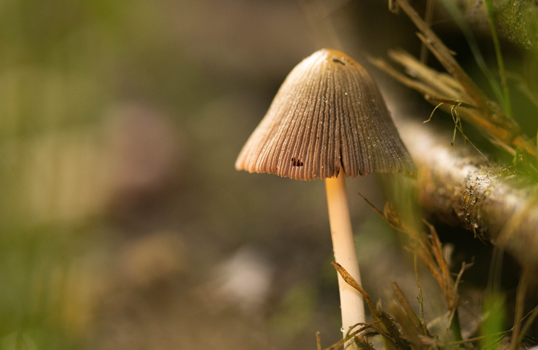 NHA cursus Fotografie Deborah van Keken