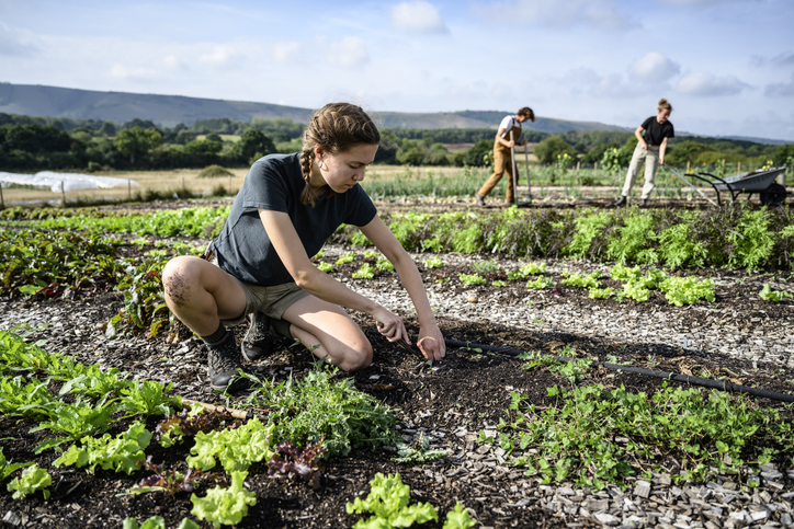 vrouw in moestuin